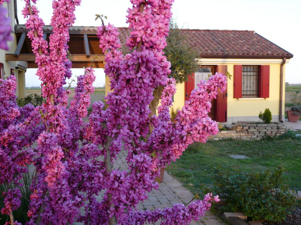 B&B La Garzetta Adria Buitenkant foto